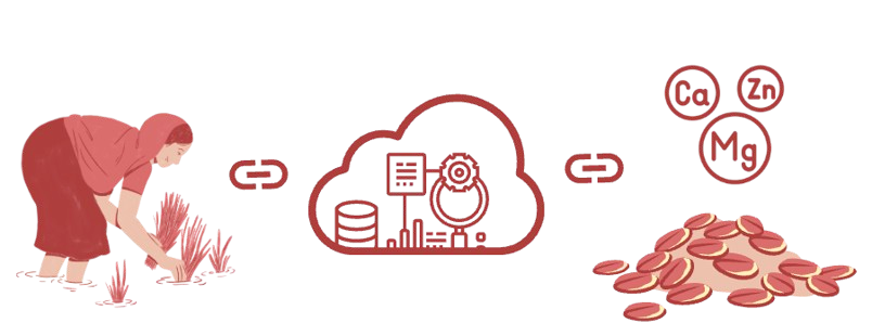 alt="Cloud ERP dashboard for farm management and food processing"