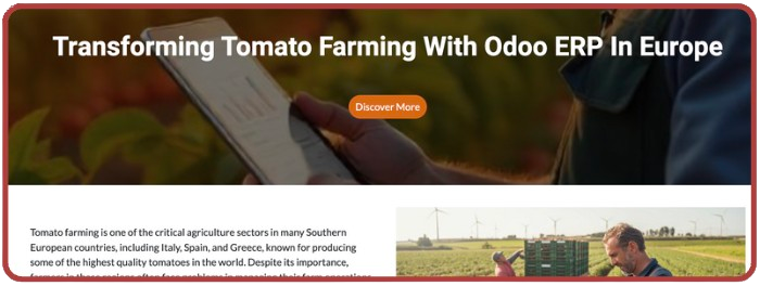 Real case study of tomato farming in Europe using Odoo ERP for efficient farm operations and digital transformation in agriculture